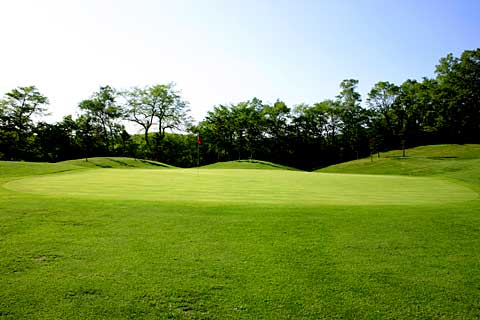 Bコース(川中島) No.4 Green