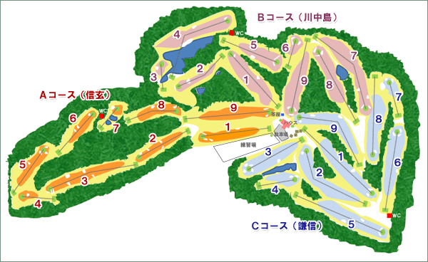 コースレイアウト